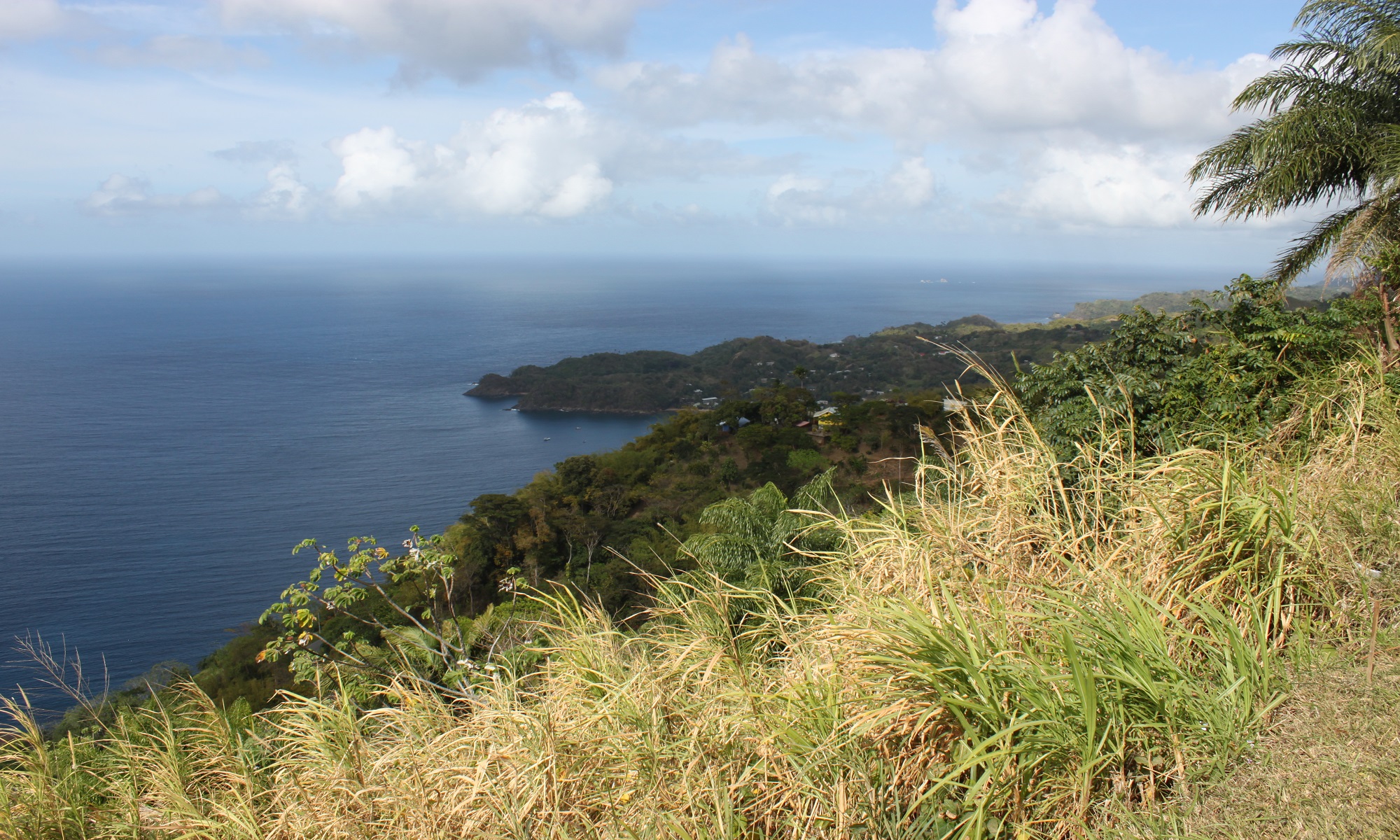 CARIBBEAN CARGO